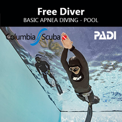 Freediver - Basic